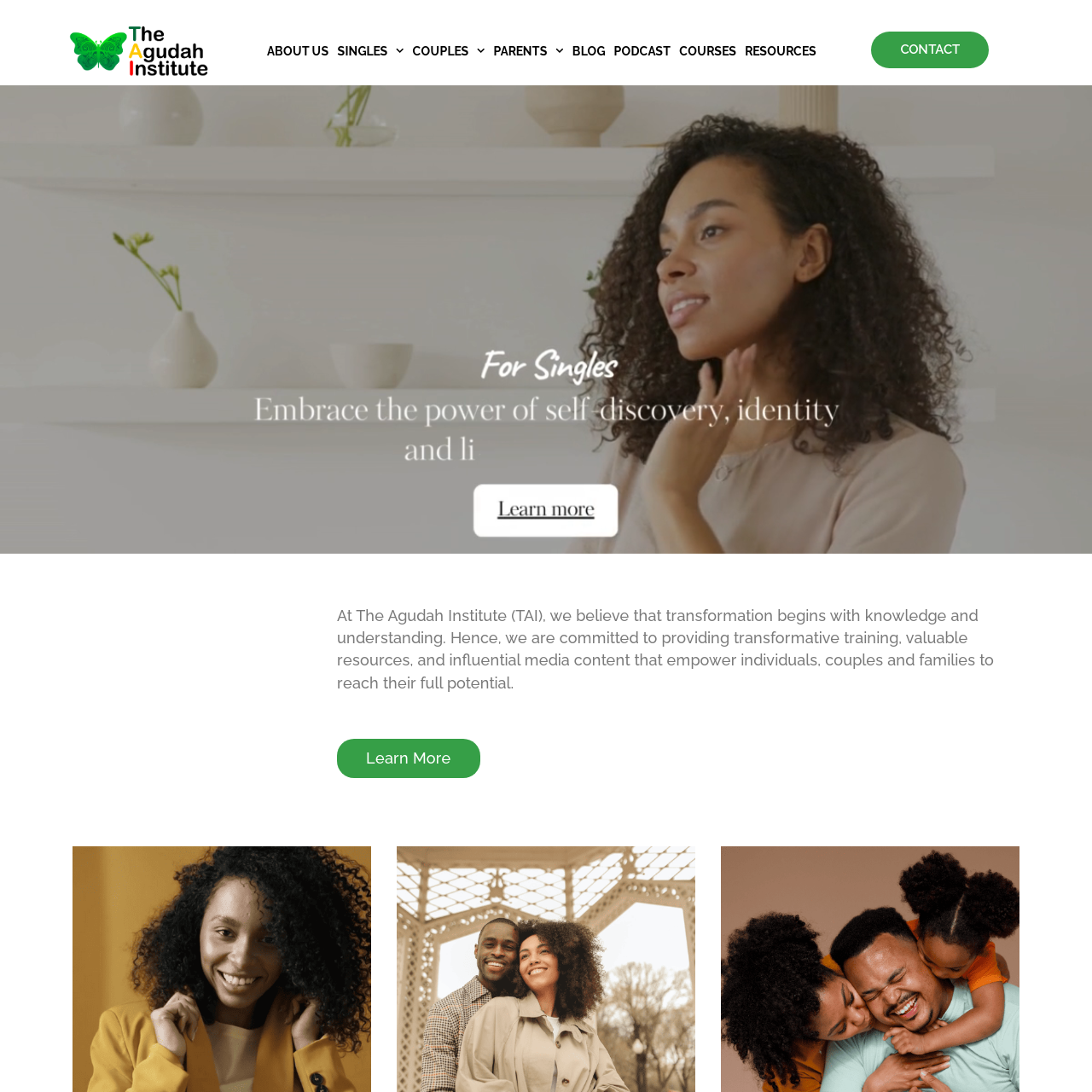 theagudahinstitute.com